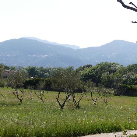 Le Charme D'Une Vieille Bastide Provencale Solliès-Pont Εξωτερικό φωτογραφία