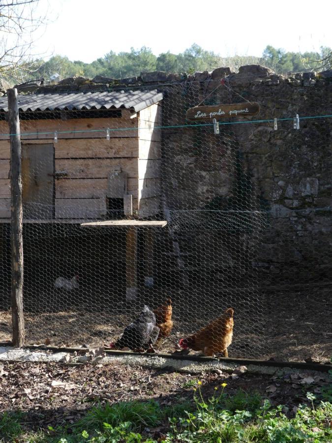 Le Charme D'Une Vieille Bastide Provencale Solliès-Pont Εξωτερικό φωτογραφία